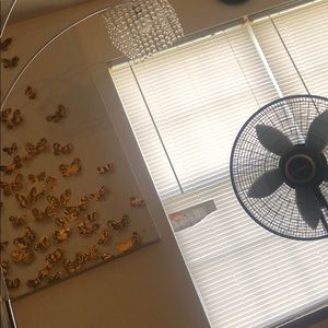 Meet your Posher, Thuy